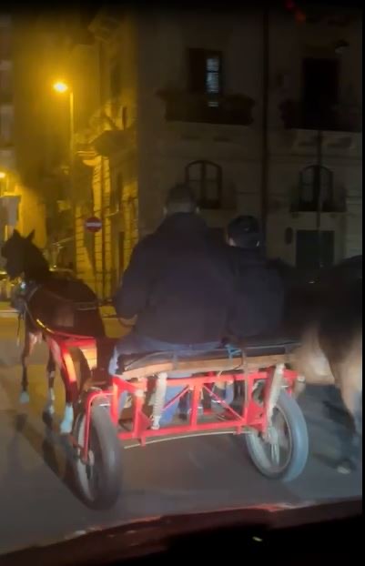 Palermo e le strade dei cavalli
