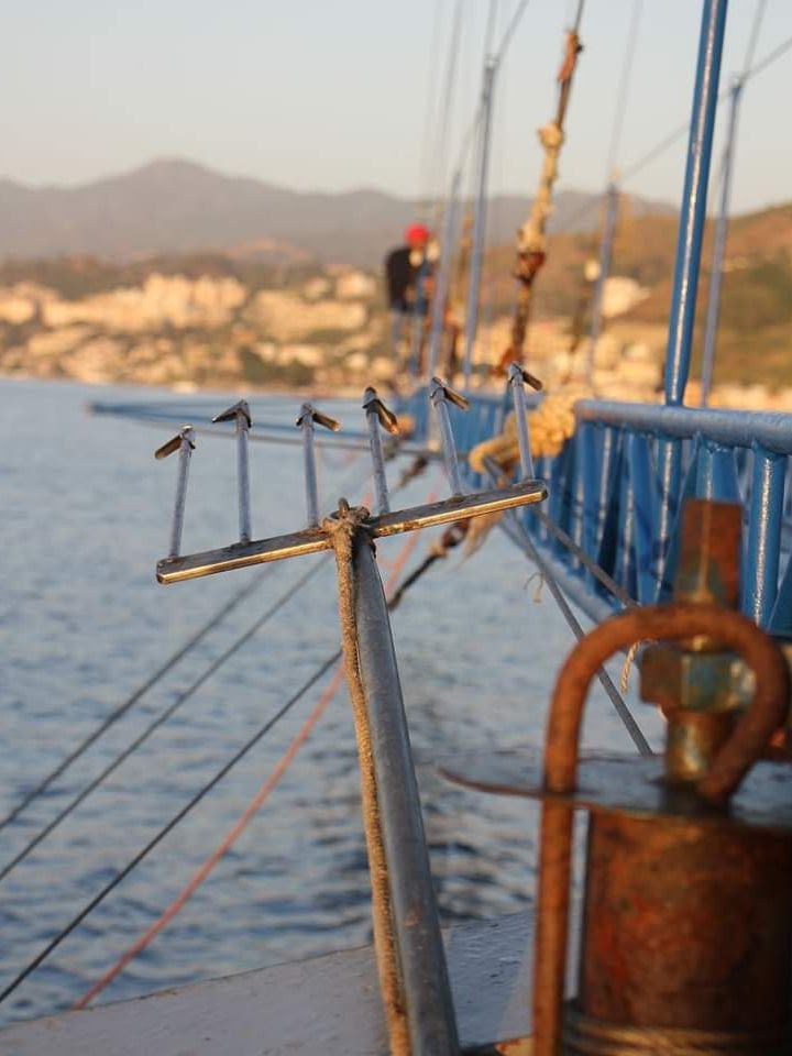 Nasce il Presidio Slow Food della Pesca Tradizionale nello Stretto di Messina